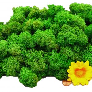 Muwse Islandmoos Grasgrün 100 g Maßstab Spur 1 Modellbau