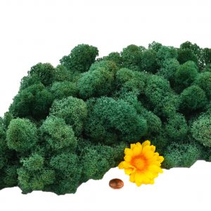 Muwse Islandmoos Kieferngrün 100 g Maßstab Spur 1 Modellbau