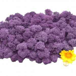 Muwse Islandmoos Flieder 100 g Maßstab Spur 1 Modellbau