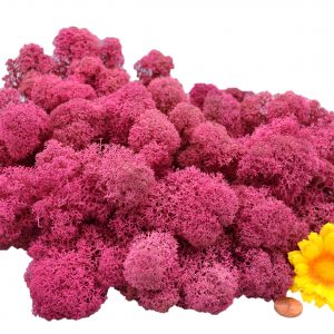 Muwse Islandmoos Veilchen Pink 100 g Maßstab Spur 1 Modellbau