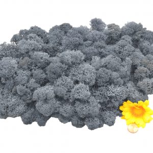 Muwse Islandmoos Titangrau 100 g Maßstab Spur 1 Modellbau