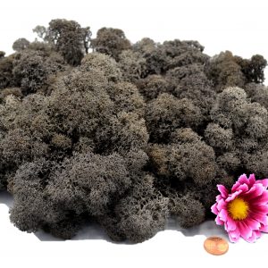 Muwse Islandmoos Dunkelgrau 100 g Maßstab Spur 1 Modellbau