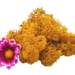 Muwse Islandmoos Melonengelb 10 g Maßstab Spur 1 Modellbau