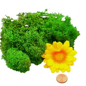 Muwse Islandmoos Grasgrün 10 g Maßstab Spur 1 Modellbau