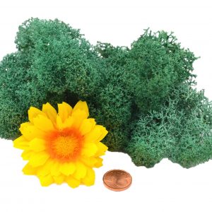 Muwse Islandmoos Kieferngrün 10 g Maßstab Spur 1 Modellbau