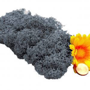 Muwse Islandmoos Titangrau 10 g Maßstab Spur 1 Modellbau