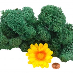 Muwse Islandmoos Kieferngrün 25 g Maßstab Spur 1 Modellbau