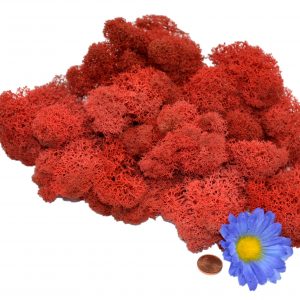 Muwse Islandmoos Mohnrot 25 g Maßstab Spur 1 Modellbau