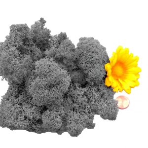 Muwse Islandmoos Titangrau 25 g Maßstab Spur 1 Modellbau