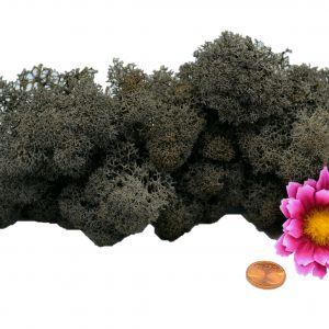 Muwse Islandmoos Dunkelgrau 25 g Maßstab Spur 1 Modellbau