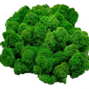 Muwse Islandmoos Grasgrün 50 g Maßstab Spur 1 Modellbau