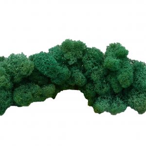 Muwse Islandmoos Kieferngrün 50 g Maßstab Spur 1 Modellbau