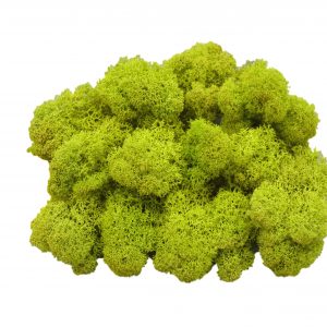 Muwse Islandmoos Frühlingsgrün 50 g Maßstab Spur 1 Modellbau