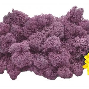 Muwse Islandmoos Flieder 50 g Maßstab Spur 1 Modellbau