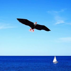 Drachen, Einleiner, Kite für Kind und Erwachsene *Adler 3D* inkl. 30m Leine, 200x70cm