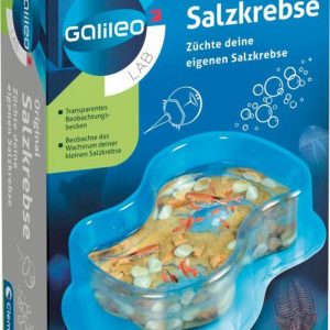 Galileo - Original Salzkrebse