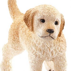 Golden Retriever Welpe