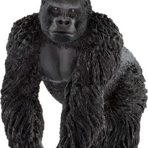 Gorilla Männchen