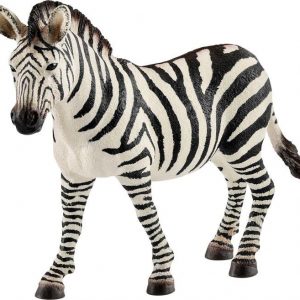 Zebra Stute