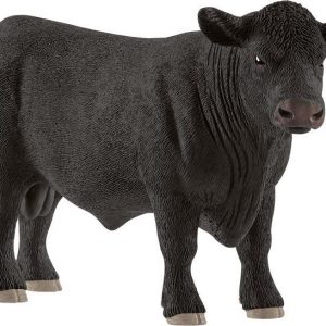Black Angus Bulle