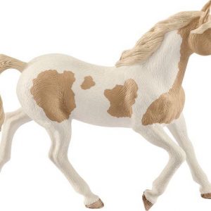 HC Paint Horse Stute