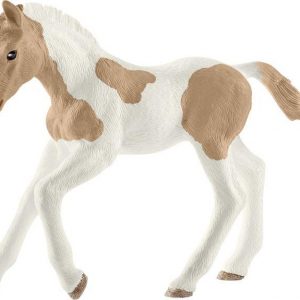 HC Paint Horse Fohlen