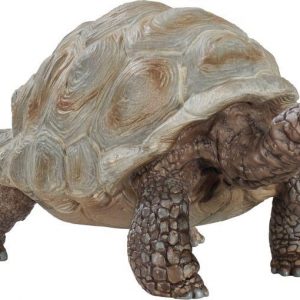 Riesenschildkröte