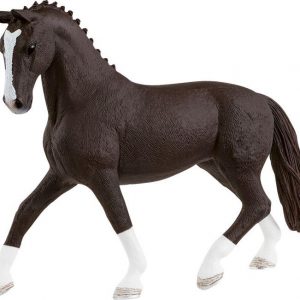 Hannoveraner Stute, Rappe