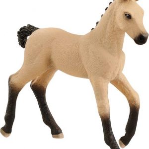 Hannoveraner Fohlen, Falbe