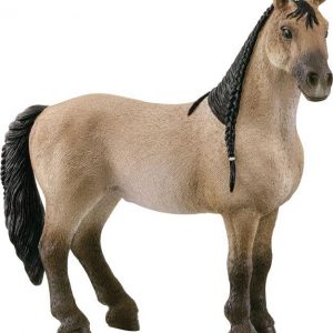 Criollo Definitivo Stute