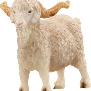 Angoraziegenbock