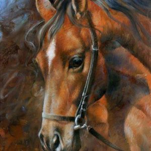 Diamond Painting Pferd 40x30 cm
