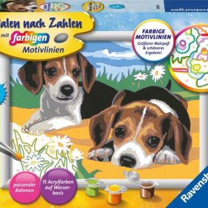 MnZ.Jack Russel Welpen