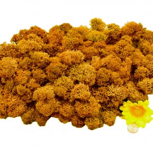 Muwse Islandmoos Melonengelb 100 g Maßstab Spur G Modellbau