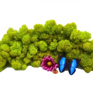 Muwse Islandmoos Frühlingsgrün 100 g Maßstab Spur G Modellbau