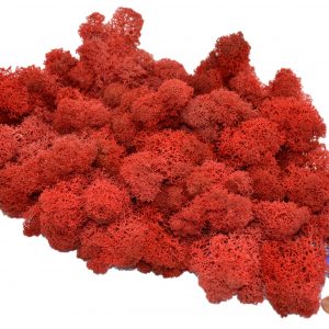 Muwse Islandmoos Mohnrot 100 g Maßstab Spur G Modellbau