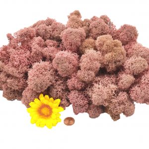 Muwse Islandmoos Rosa 100 g Maßstab Spur G Modellbau