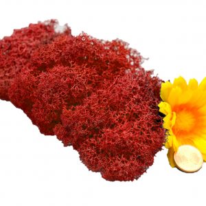 Muwse Islandmoos Mohnrot 10 g Maßstab Spur G Modellbau