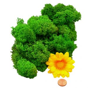 Muwse Islandmoos Grasgrün 25 g Maßstab Spur G Modellbau