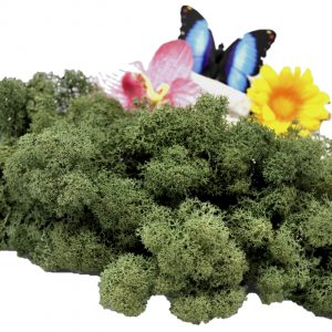 Muwse Islandmoos Tannengrün 25 g Maßstab Spur G Modellbau