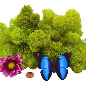 Muwse Islandmoos Frühlingsgrün 25 g Maßstab Spur G Modellbau