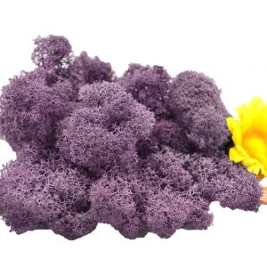 Muwse Islandmoos Flieder 25 g Maßstab Spur G Modellbau