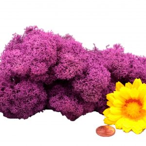 Muwse Islandmoos Viola 25 g Maßstab Spur G Modellbau