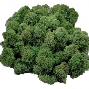 Muwse Islandmoos Tannengrün 50 g Maßstab Spur G Modellbau