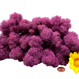 Muwse Islandmoos Viola 50 g Maßstab Spur G Modellbau