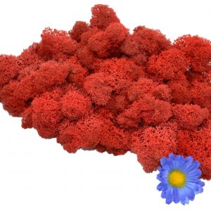 Muwse Islandmoos Mohnrot 50 g Maßstab Spur G Modellbau