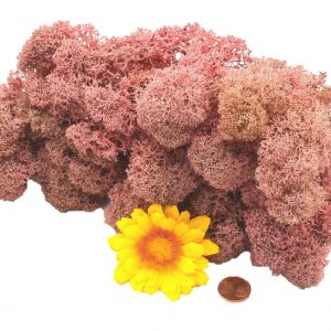 Muwse Islandmoos Rosa 50 g Maßstab Spur G Modellbau