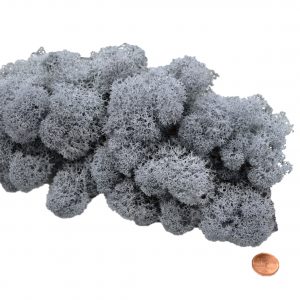 Muwse Islandmoos Titangrau 50 g Maßstab Spur G Modellbau