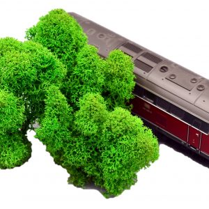 Muwse Islandmoos Grasgrün 10 g Maßstab Spur H0 Modellbau