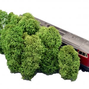 Muwse Islandmoos Tannengrün 10 g Maßstab Spur H0 Modellbau